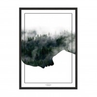 Forest.