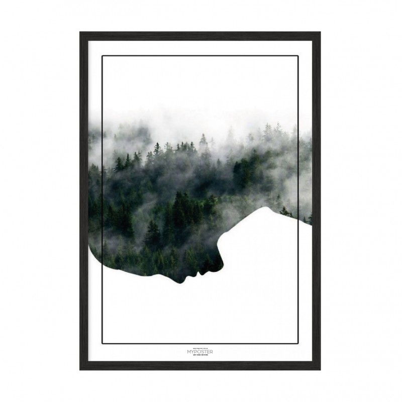 Forest.