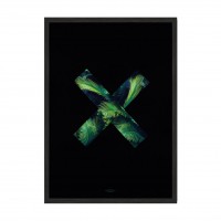 Black X.