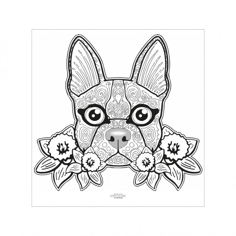 Розмальовка — Dog
