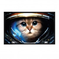 Space cat