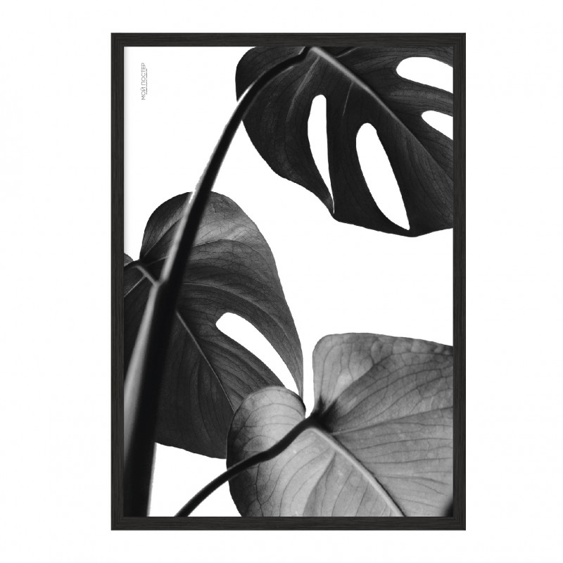King Leaves.