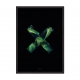 Black X.