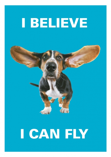Постер I believe I can fly