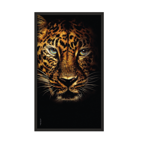 Tiger.