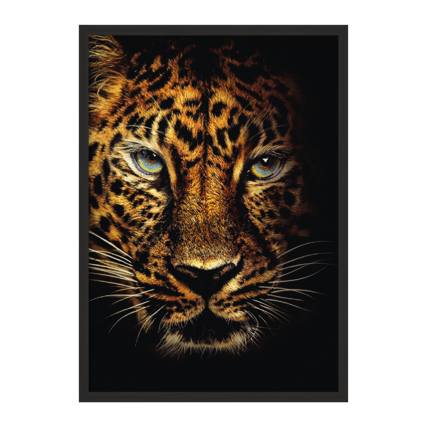King TIger.