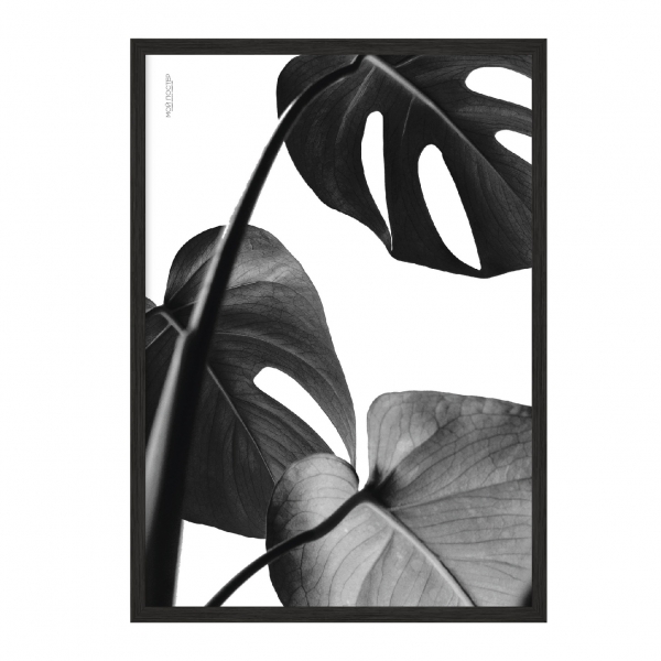 King Leaves.