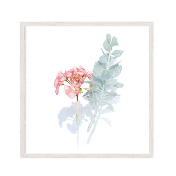 Flowers 01.