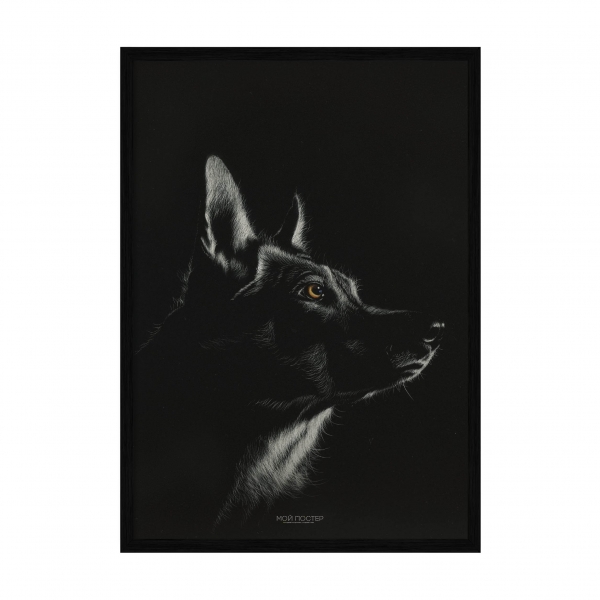 Wolf.