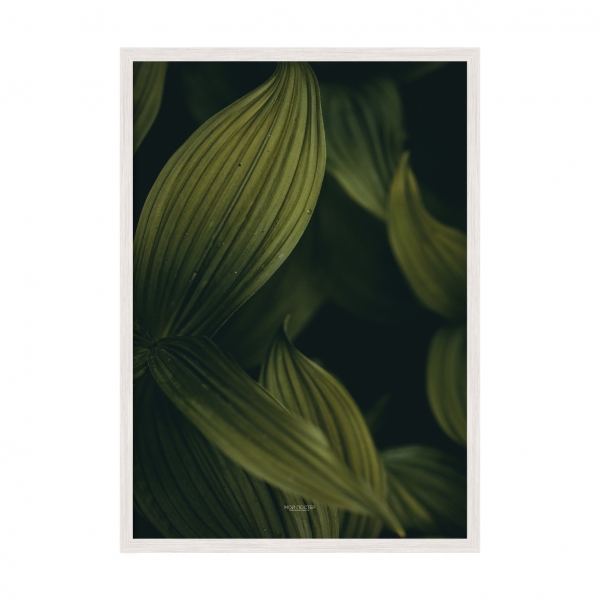 Green leaves 01.