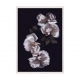 Flower Dream N01.
