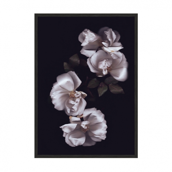 Flower Dream N01.