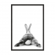 Rabbit.