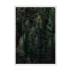 Green Forest.