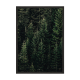 Green Forest.