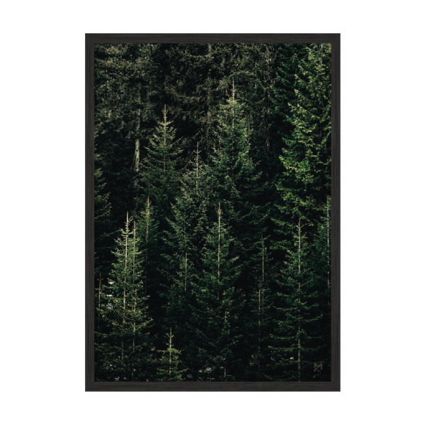 Green Forest.