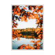 Autumn leaves.