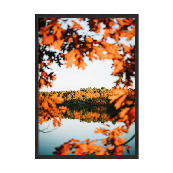 Autumn leaves.