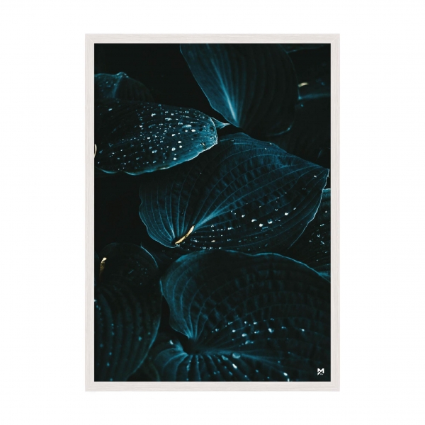 Leaves.