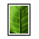 Leaves 07