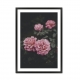 Rose.