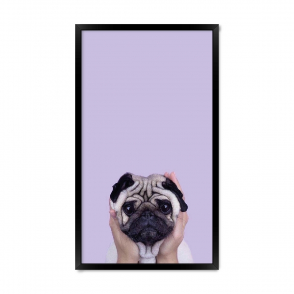 Мопс 03