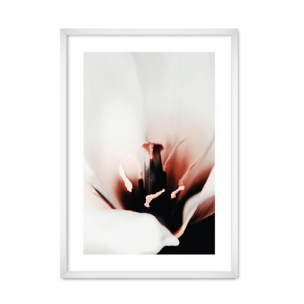 EARTH FLOWER.