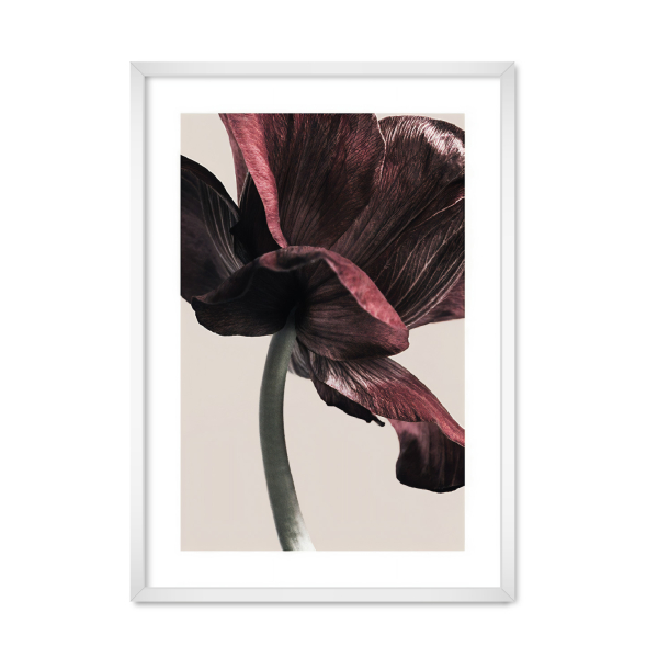 EARTH FLOWER.