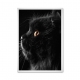 Black cat.