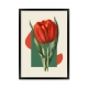 Art tulip.