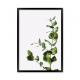 Minimalist plant.