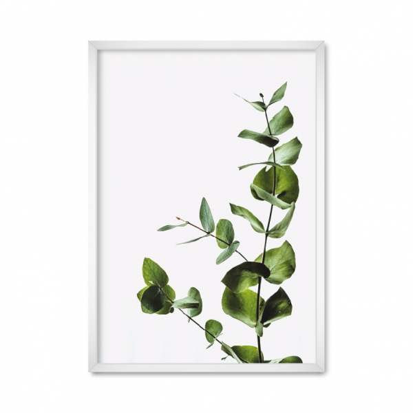 Minimalist plant.