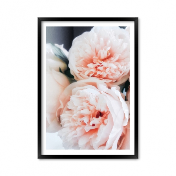 Pastel Flowers.