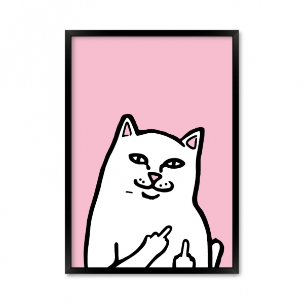 Плохой котик.