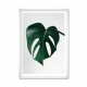 Leaf 05.