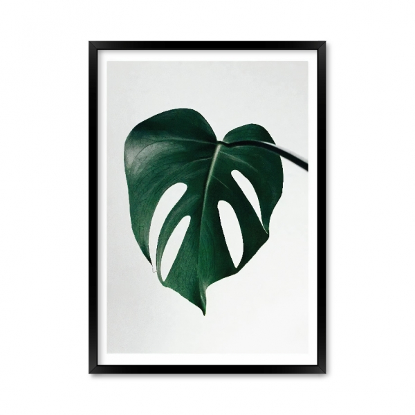Leaf 05.
