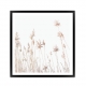 Spikelets of Wheat.