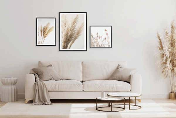 Spikelets of Wheat.