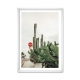 Cactus.