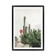 Cactus.