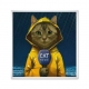 Cat news.