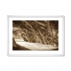 Sepia — Forest