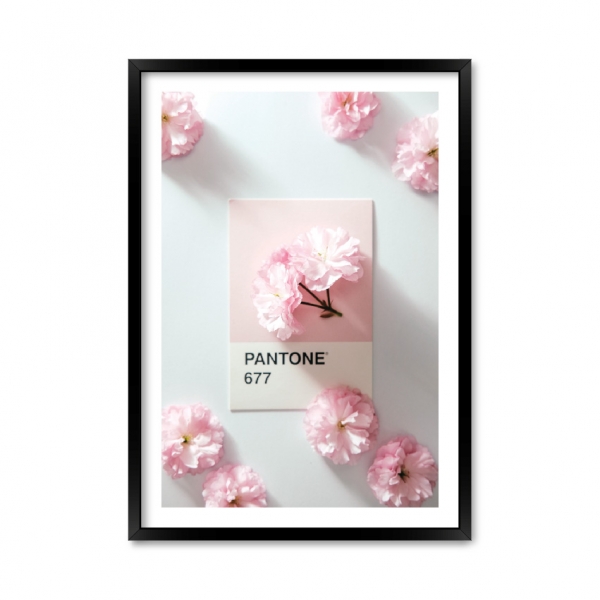 Pantone 677.