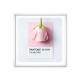 Pantone Candy Pink.