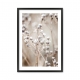 Collection nature 01.