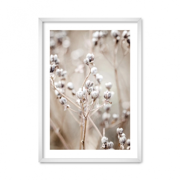 Collection nature 01.