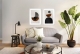 Brown collection.