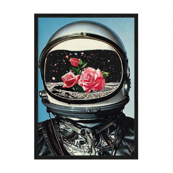 AstroFlowers.