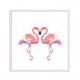 Flamingo.
