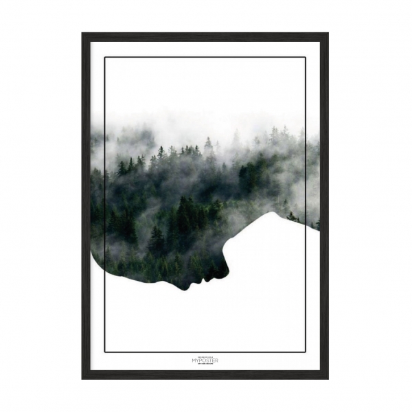 Forest.